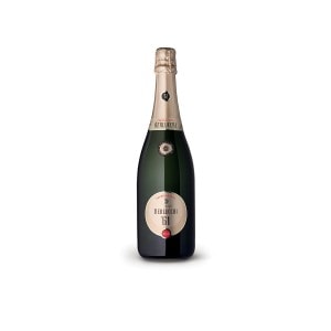 Franciacorta Extra Brut - Berlucchi