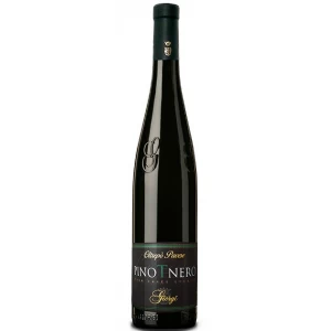 O.P. Pinot Nero vinificato in bianco – Giorgi