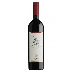 Sfursat di Valtellina “Cinquestelle” 2021 - Nino Negri