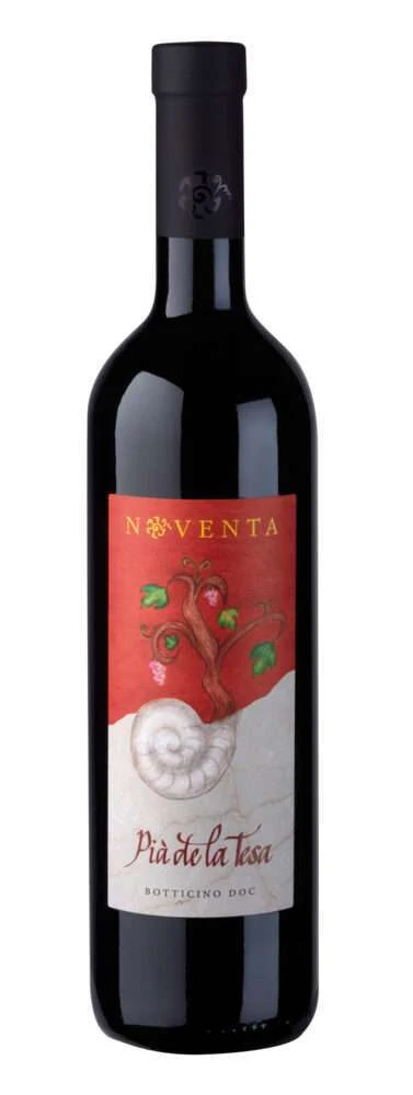 Botticino Vigna Pià de la Tesa 2021 Noventa