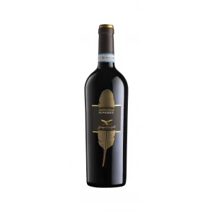 Ripasso Valpolicella – 2022 - Campagnola