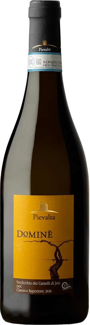 Dominé Verdicchio dei Castelli di Jesi Clas.Sup.Doc 2022 Pievalta